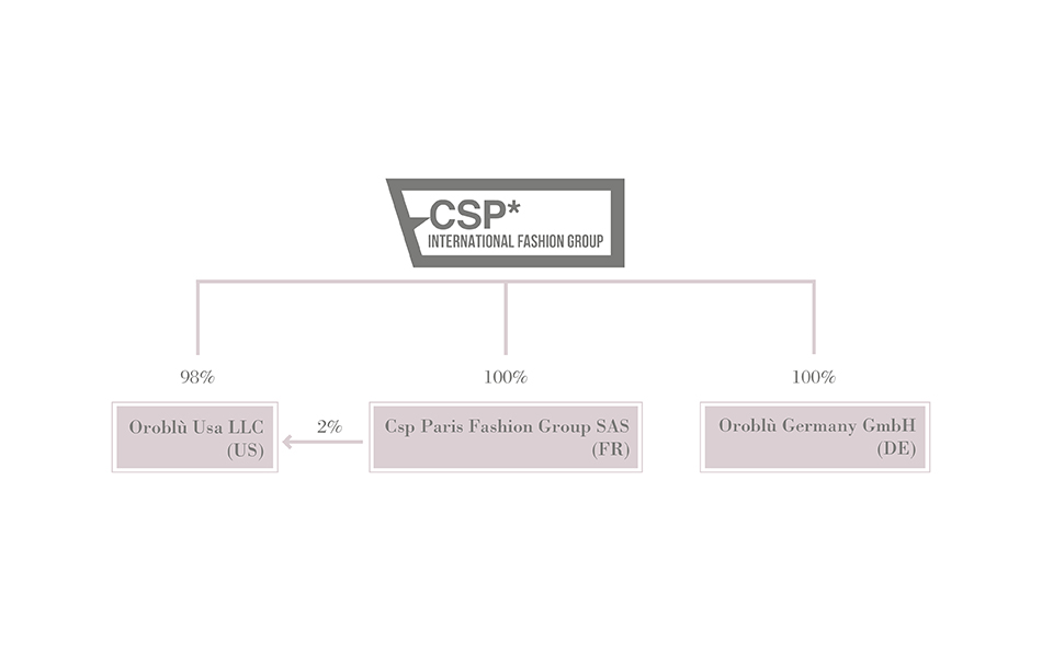 CSP Structure CSP International